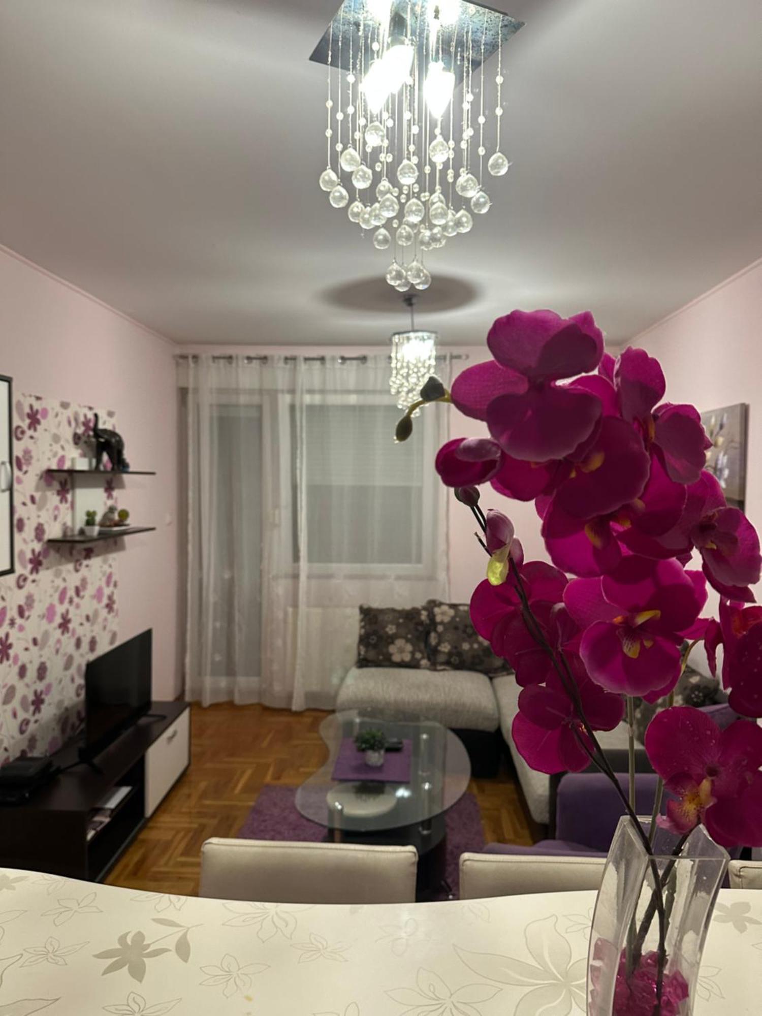 Appartamento Apartman Ivana Novi Sad Esterno foto