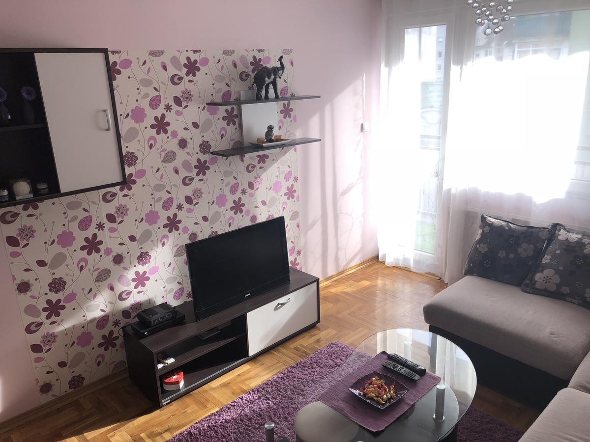 Appartamento Apartman Ivana Novi Sad Esterno foto