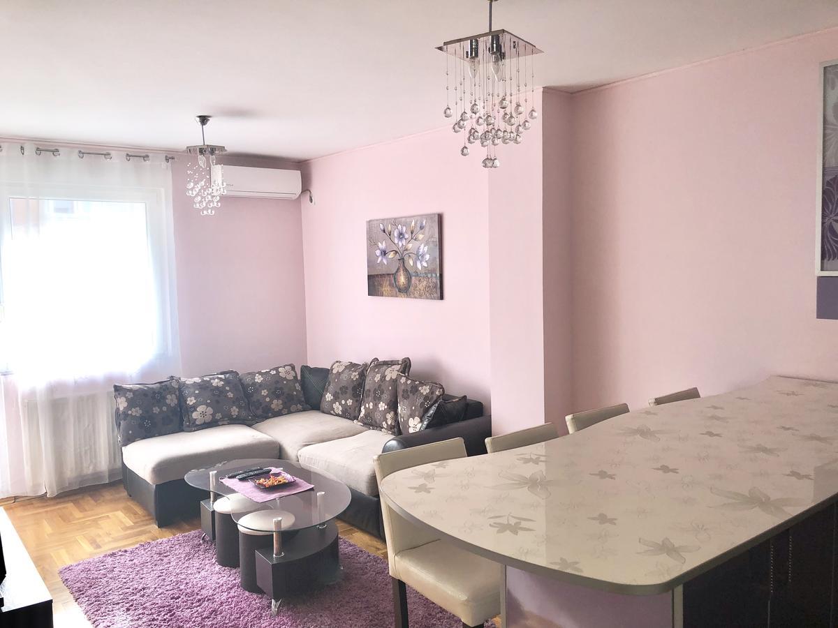 Appartamento Apartman Ivana Novi Sad Esterno foto