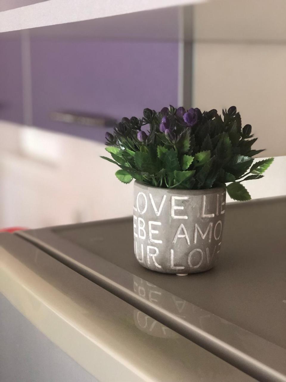 Appartamento Apartman Ivana Novi Sad Esterno foto